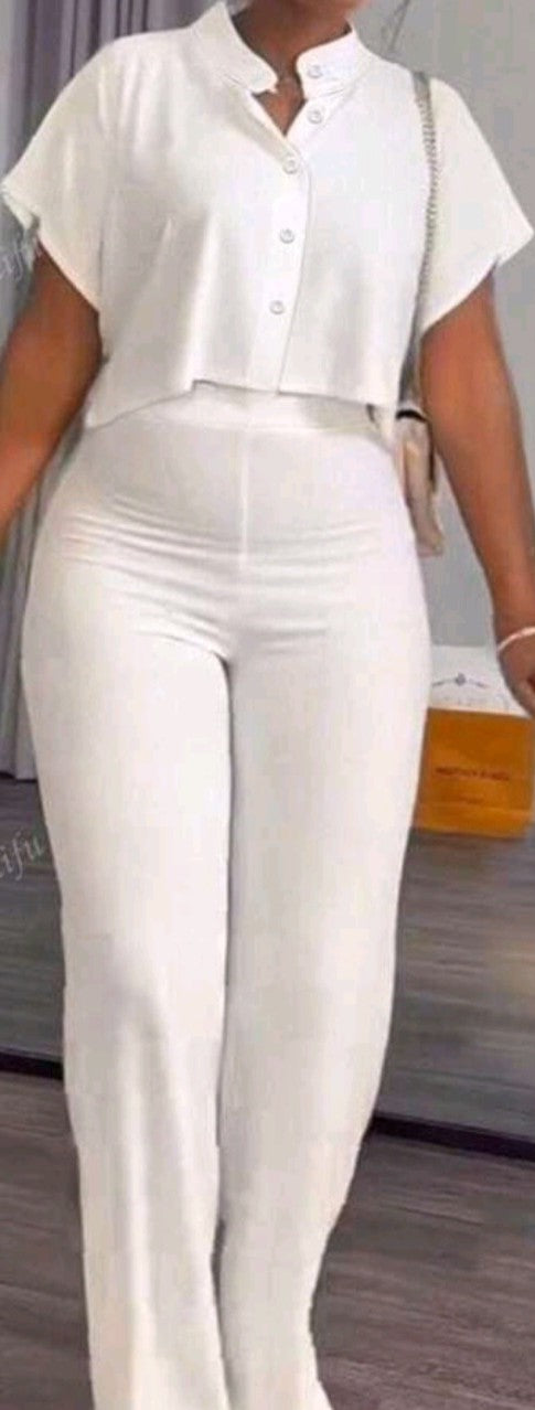 Women's 2 pisces set,short sleeve shirt & wide leg pant